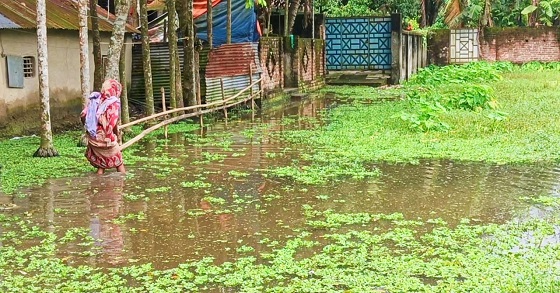 image-here